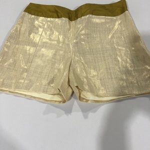 Hot Metallic Shorts